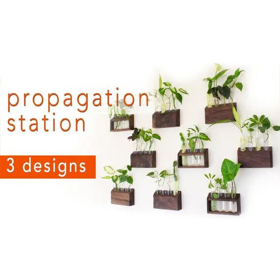 Timber Biscuit Woodworks - propagation-station-plans