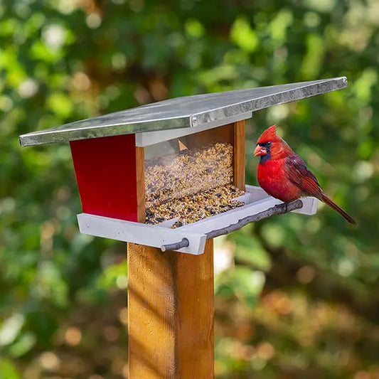 Rockler - bird-feeder